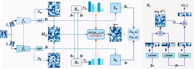 Figure 1 for OPTiML: Dense Semantic Invariance Using Optimal Transport for Self-Supervised Medical Image Representation