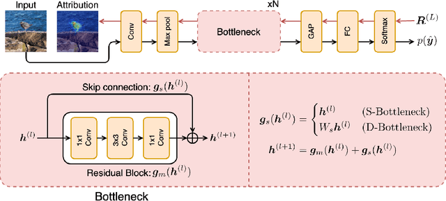 Figure 3 for Layer-Wise Relevance Propagation with Conservation Property for ResNet