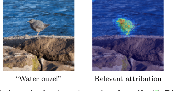 Figure 4 for Layer-Wise Relevance Propagation with Conservation Property for ResNet