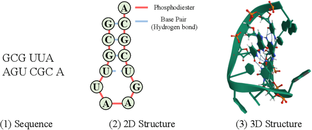 Figure 1 for RNACG: A Universal RNA Sequence Conditional Generation model based on Flow-Matching