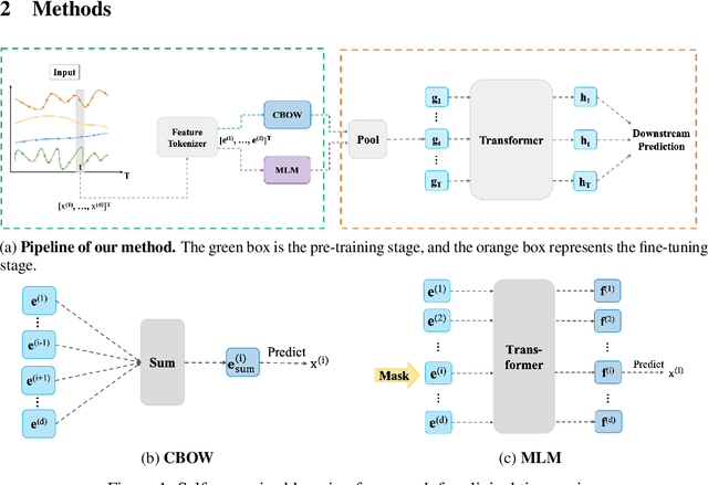 Figure 1 for Language Model Training Paradigms for Clinical Feature Embeddings