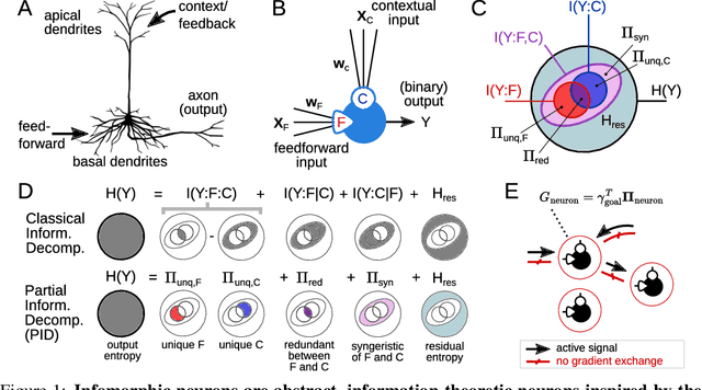 Figure 1 for What should a neuron aim for? Designing local objective functions based on information theory