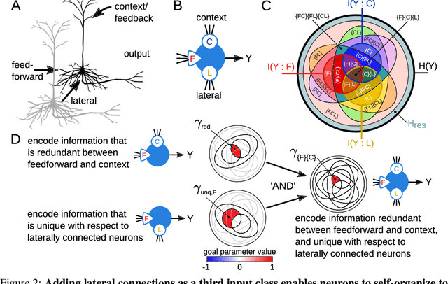 Figure 3 for What should a neuron aim for? Designing local objective functions based on information theory