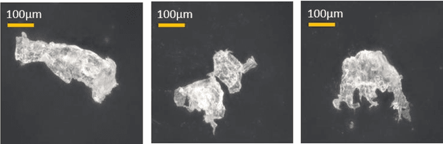 Figure 1 for Classification of Microplastic Particles in Water using Polarized Light Scattering and Machine Learning Methods