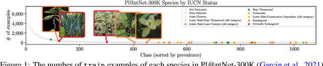 Figure 1 for Conformal Prediction for Long-Tailed Classification
