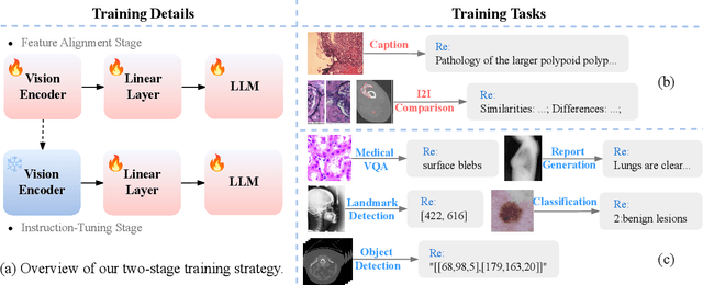 Figure 3 for UMIT: Unifying Medical Imaging Tasks via Vision-Language Models