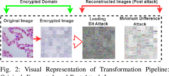 Figure 2 for ViT Enhanced Privacy-Preserving Secure Medical Data Sharing and Classification