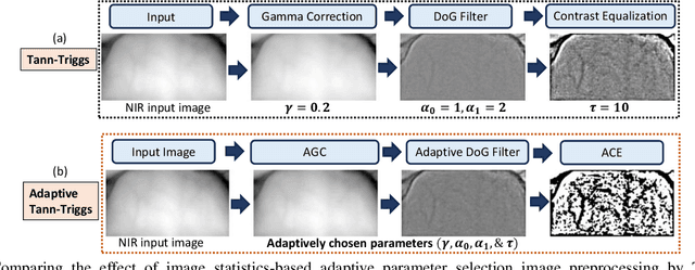 Figure 2 for Dual Channel Multi-Attention in ViT for Biometric Authentication using Forehead Subcutaneous Vein Pattern and Periocular Pattern