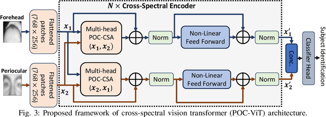 Figure 3 for Dual Channel Multi-Attention in ViT for Biometric Authentication using Forehead Subcutaneous Vein Pattern and Periocular Pattern