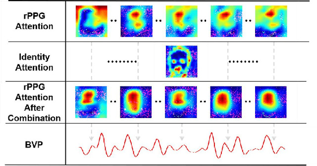 Figure 1 for rFaceNet: An End-to-End Network for Enhanced Physiological Signal Extraction through Identity-Specific Facial Contours