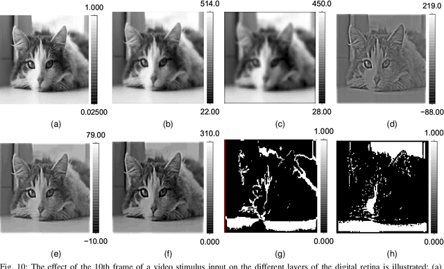 Figure 2 for Neuromorphic Retina: An FPGA-based Emulator