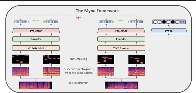 Figure 3 for Myna: Masking-Based Contrastive Learning of Musical Representations