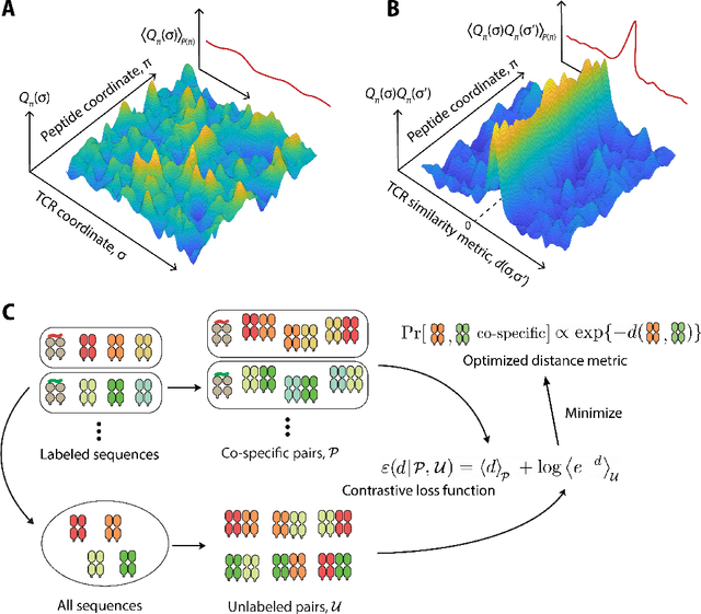 Figure 1 for Data-driven Discovery of Biophysical T Cell Receptor Co-specificity Rules