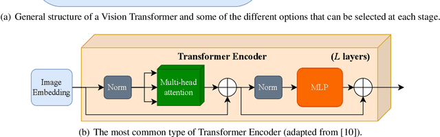 Figure 3 for A Comparative Survey of Vision Transformers for Feature Extraction in Texture Analysis