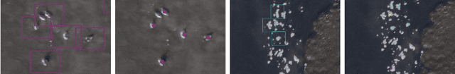 Figure 4 for POLO -- Point-based, multi-class animal detection