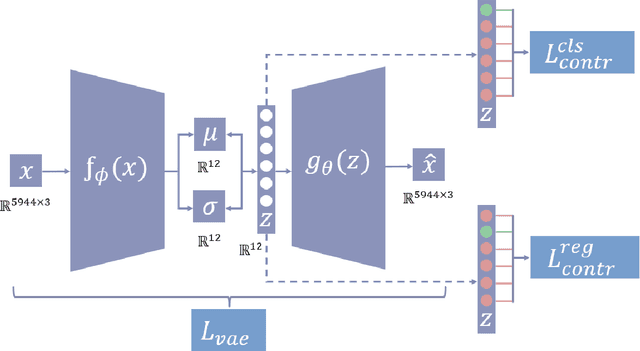 Figure 1 for Disentangling Hippocampal Shape Variations: A Study of Neurological Disorders Using Graph Variational Autoencoder with Contrastive Learning