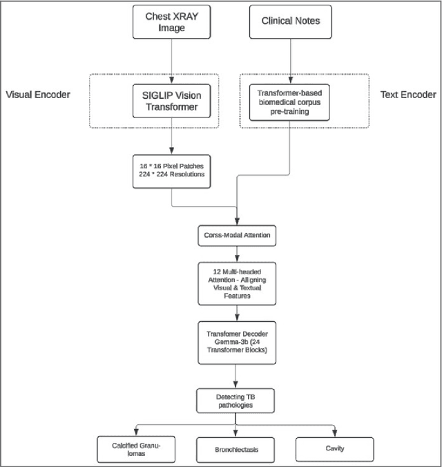 Figure 1 for Advancing Chronic Tuberculosis Diagnostics Using Vision-Language Models: A Multi modal Framework for Precision Analysis