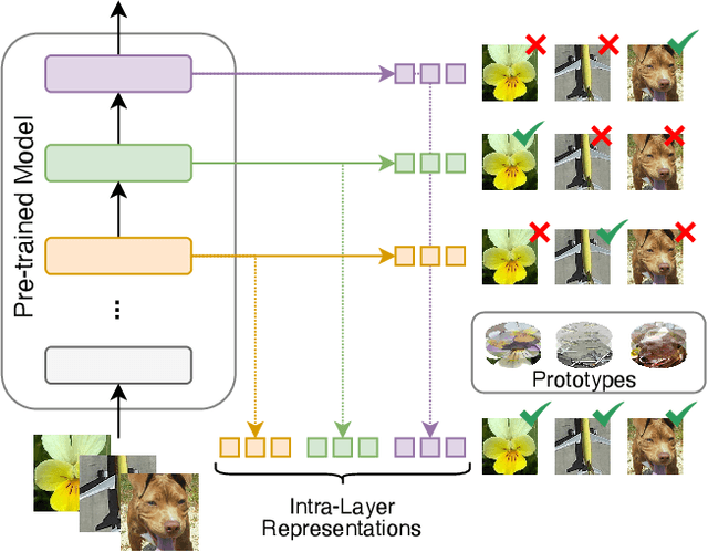 Figure 1 for Read Between the Layers: Leveraging Intra-Layer Representations for Rehearsal-Free Continual Learning with Pre-Trained Models