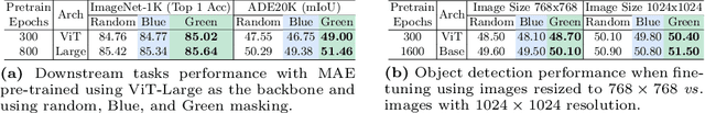 Figure 4 for ColorMAE: Exploring data-independent masking strategies in Masked AutoEncoders