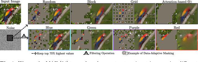 Figure 1 for ColorMAE: Exploring data-independent masking strategies in Masked AutoEncoders