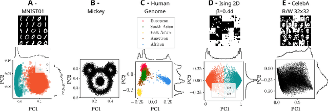 Figure 1 for Fast, accurate training and sampling of Restricted Boltzmann Machines
