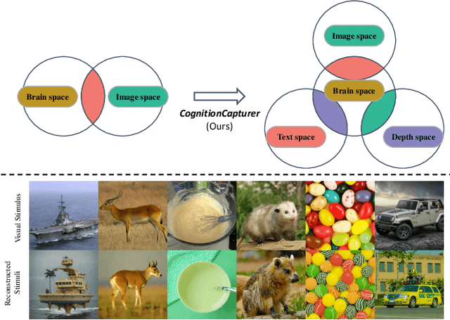 Figure 1 for CognitionCapturer: Decoding Visual Stimuli From Human EEG Signal With Multimodal Information