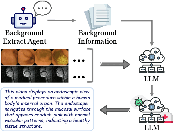 Figure 1 for Bora: Biomedical Generalist Video Generation Model