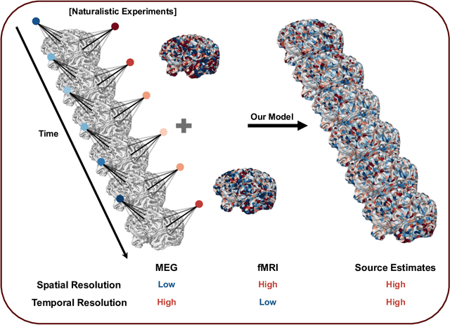 Figure 1 for Estimating Brain Activity with High Spatial and Temporal Resolution using a Naturalistic MEG-fMRI Encoding Model