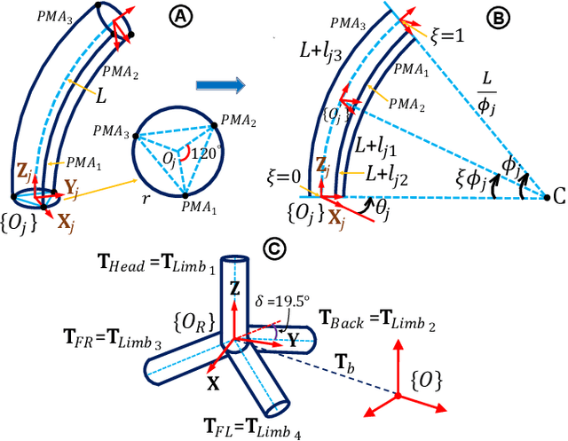 Figure 3 for Study on Soft Robotic Pinniped Locomotion