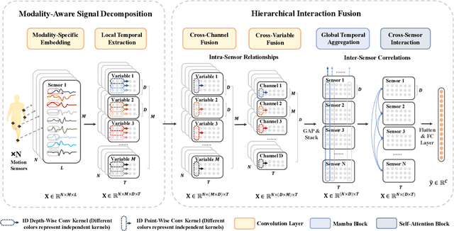 Figure 3 for Decomposing and Fusing Intra- and Inter-Sensor Spatio-Temporal Signal for Multi-Sensor Wearable Human Activity Recognition