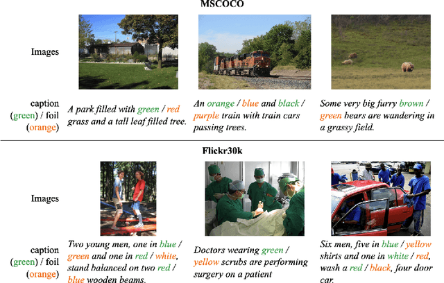 Figure 1 for ColorFoil: Investigating Color Blindness in Large Vision and Language Models