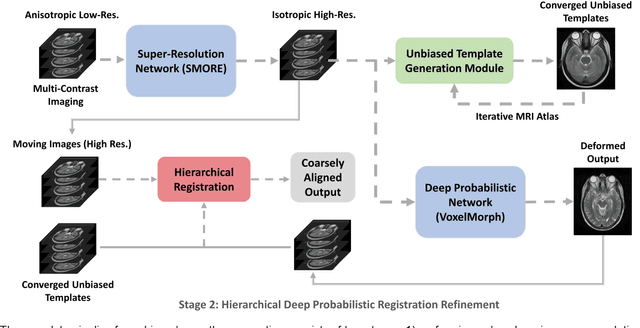 Figure 2 for Super-Resolution Multi-Contrast Unbiased Eye Atlases With Deep Probabilistic Refinement