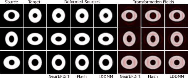 Figure 4 for NeurEPDiff: Neural Operators to Predict Geodesics in Deformation Spaces