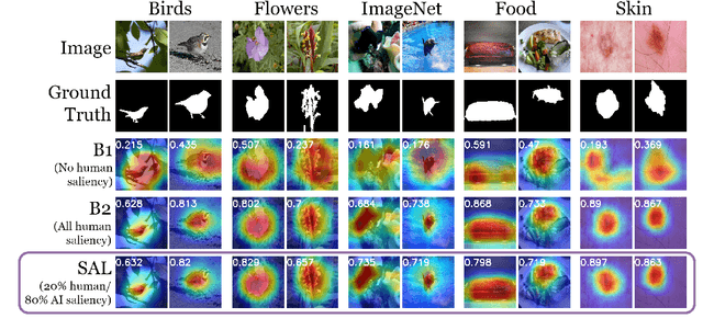 Figure 3 for Increasing Interpretability of Neural Networks By Approximating Human Visual Saliency