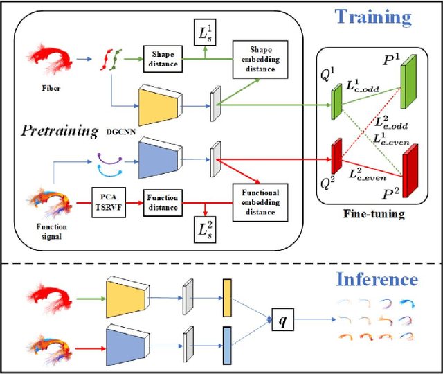 Figure 1 for A Novel Deep Learning Tractography Fiber Clustering Framework for Functionally Consistent White Matter Parcellation Using Multimodal Diffusion MRI and Functional MRI