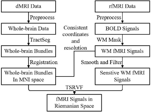 Figure 3 for A Novel Deep Learning Tractography Fiber Clustering Framework for Functionally Consistent White Matter Parcellation Using Multimodal Diffusion MRI and Functional MRI