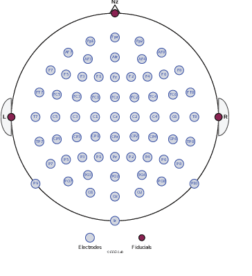 Figure 4 for Brain2Model Transfer: Training sensory and decision models with human neural activity as a teacher