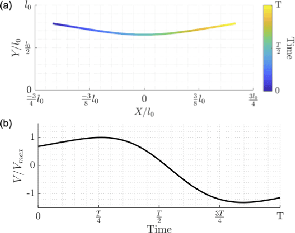 Figure 3 for Optimizing Design and Control of Running Robots Abstracted as Torque Driven Spring Loaded Inverted Pendulum (TD-SLIP)