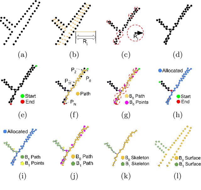 Figure 3 for Smart-Tree: Neural Medial Axis Approximation of Point Clouds for 3D Tree Skeletonization