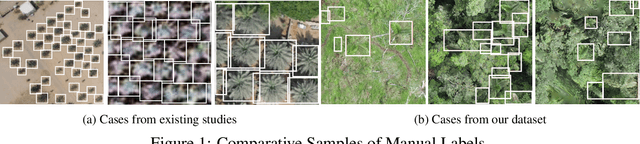 Figure 1 for Real-Time Localization and Bimodal Point Pattern Analysis of Palms Using UAV Imagery