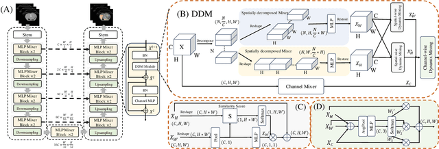 Figure 1 for D2-MLP: Dynamic Decomposed MLP Mixer for Medical Image Segmentation