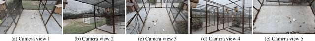 Figure 1 for Context-Aware Outlier Rejection for Robust Multi-View 3D Tracking of Similar Small Birds in An Outdoor Aviary