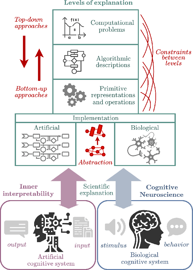 Figure 1 for Position Paper: An Inner Interpretability Framework for AI Inspired by Lessons from Cognitive Neuroscience