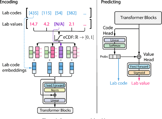 Figure 1 for Labrador: Exploring the Limits of Masked Language Modeling for Laboratory Data