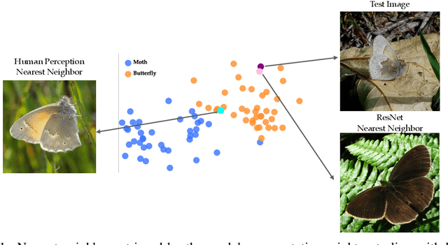 Figure 1 for Learning Human-Compatible Representations for Case-Based Decision Support