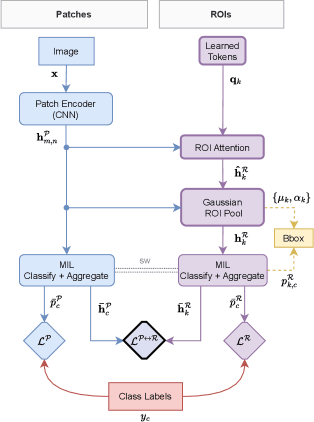 Figure 2 for Weakly Supervised Object Detection in Chest X-Rays with Differentiable ROI Proposal Networks and Soft ROI Pooling