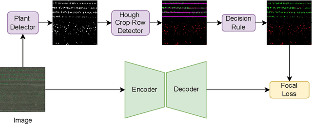 Figure 1 for RoWeeder: Unsupervised Weed Mapping through Crop-Row Detection
