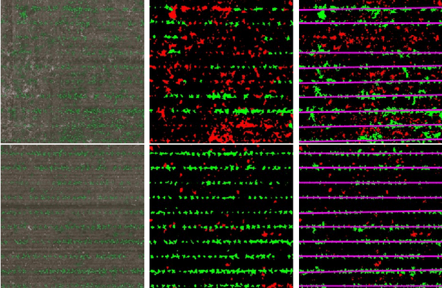 Figure 3 for RoWeeder: Unsupervised Weed Mapping through Crop-Row Detection