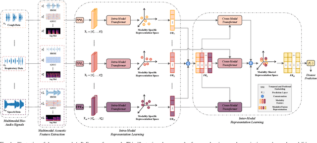 Figure 1 for AuD-Former: A Hierarchical Transformer Network for Multimodal Audio-Based Disease Prediction