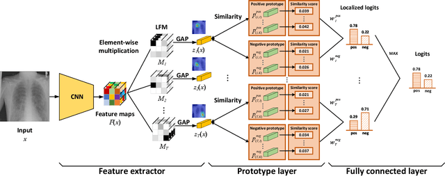 Figure 2 for FeaInfNet: Diagnosis in Medical Image with Feature-Driven Inference and Visual Explanations